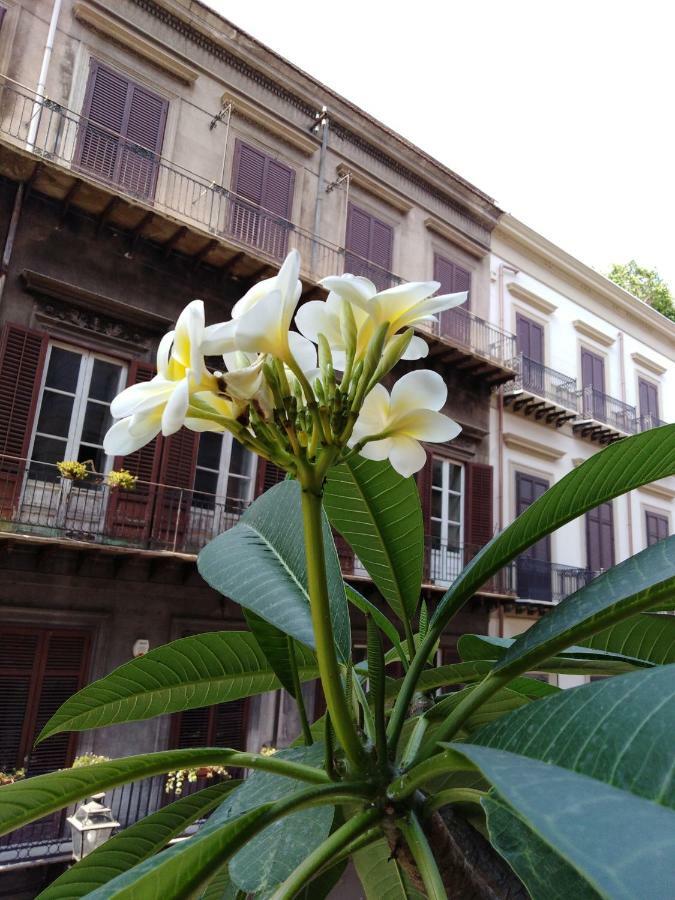 פלרמו B&B Santa Caterina מראה חיצוני תמונה